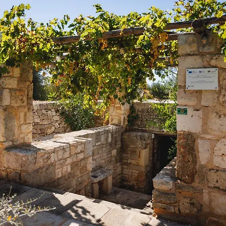Tenuta Pinto *