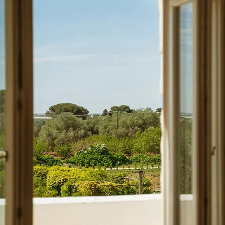 Hotel Tenuta Pinto Mola di Bari