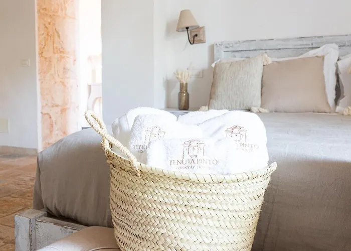 Tenuta Pinto Szálloda Mola di Bari